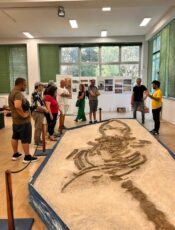 Museo della scienza-Bari